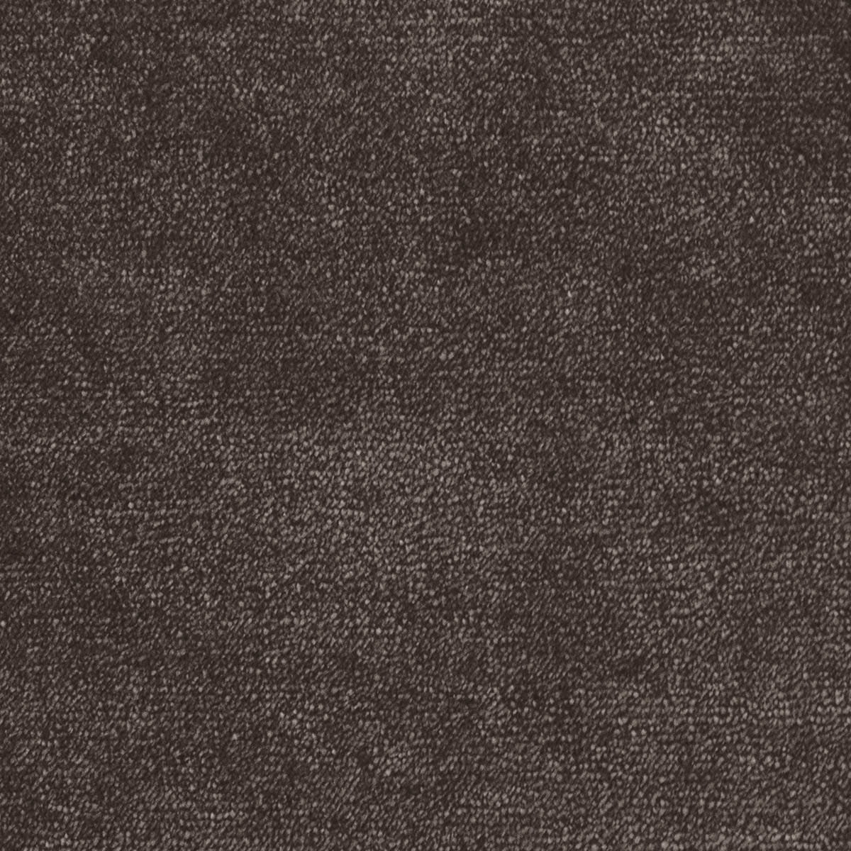 Omphale 44 macro shot