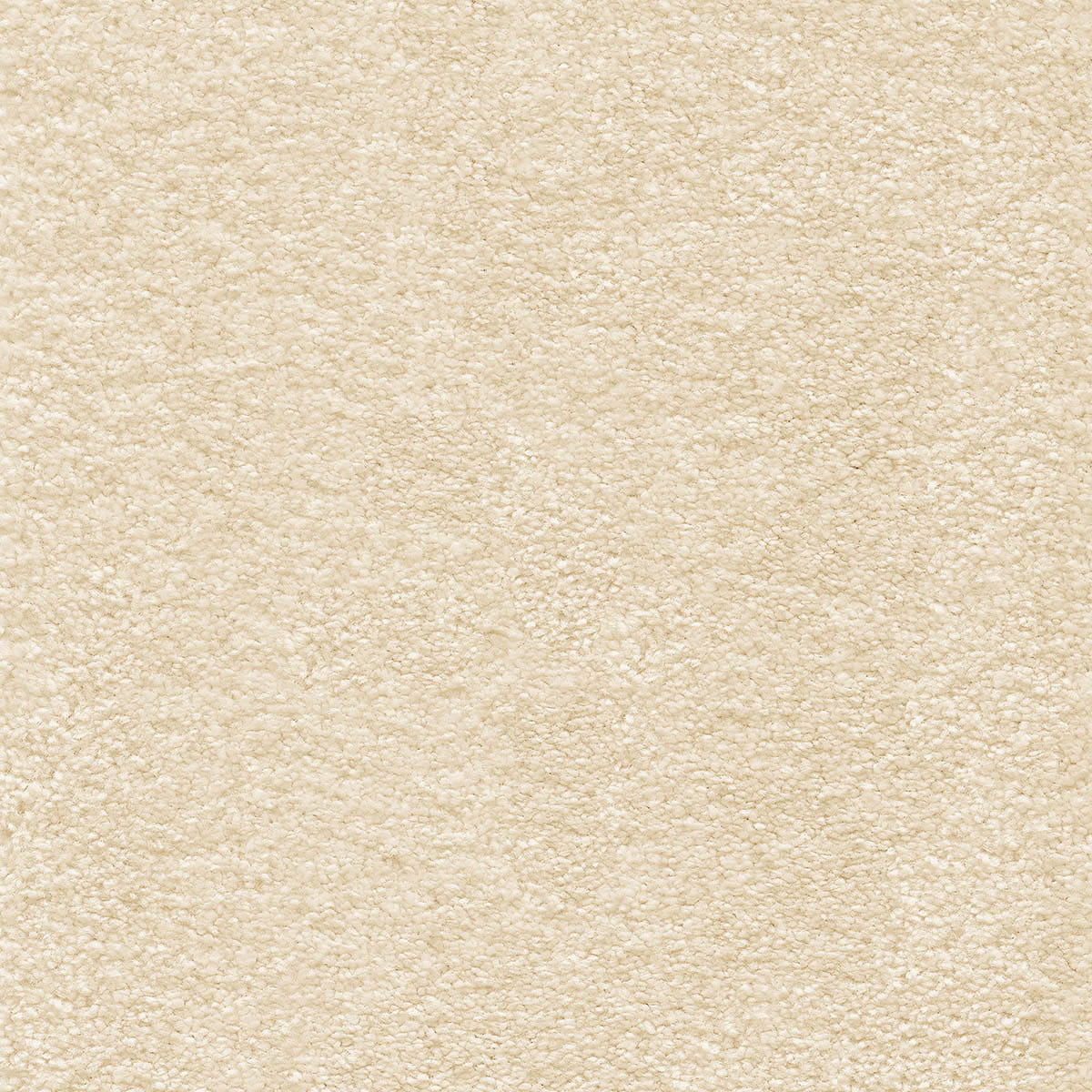 Satisfaction 33 macro shot