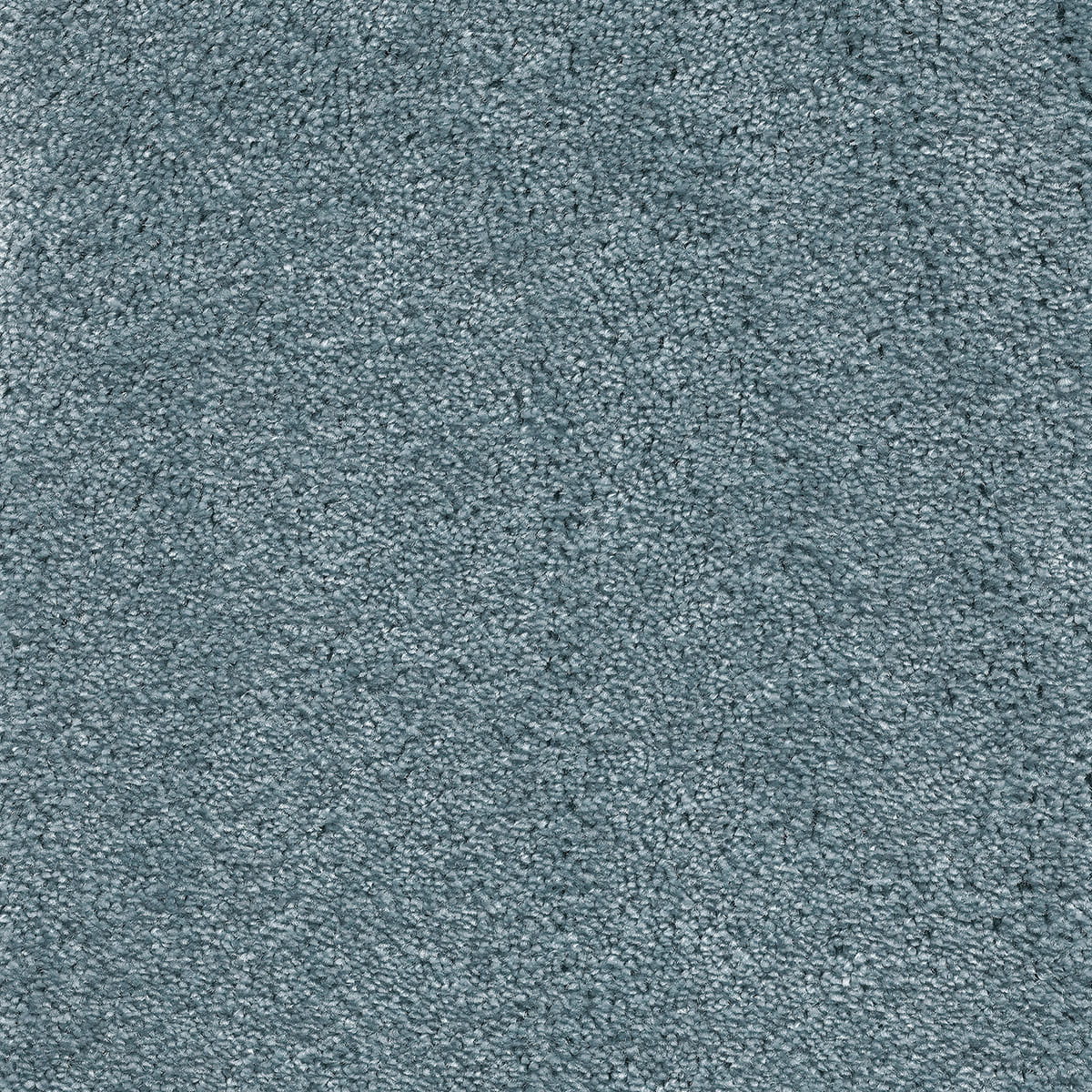 Sentiment 75 macro shot