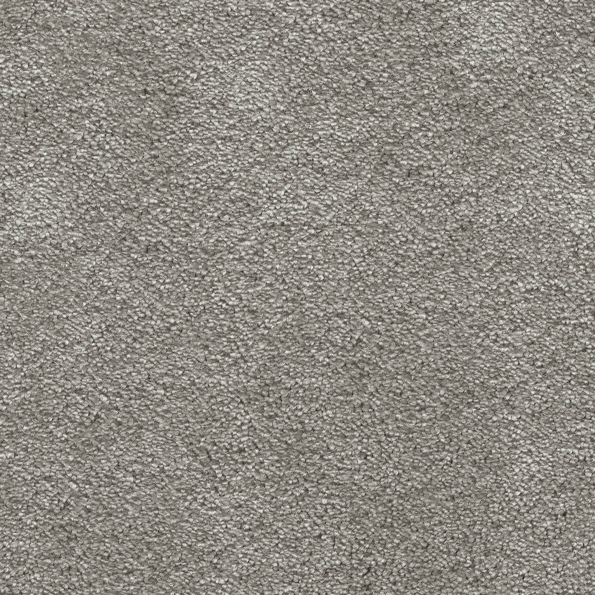 Seduction 49 macro shot