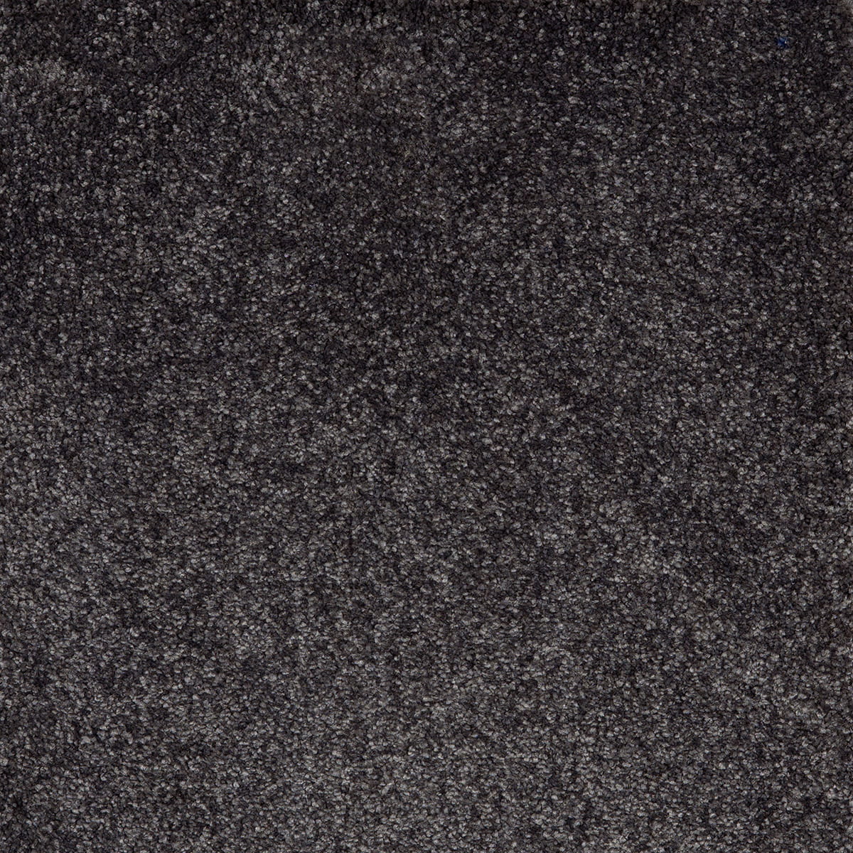 Sonrisa 97 macro shot