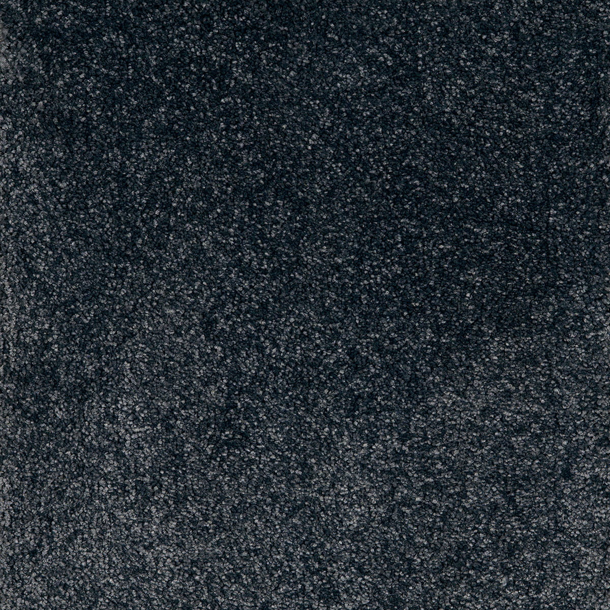 Superbe 97 macro shot