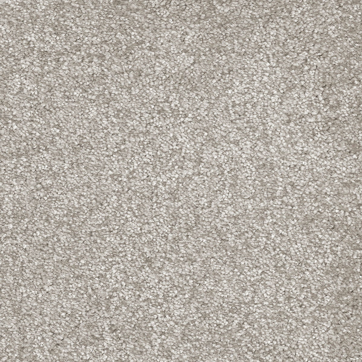 Sensation 49 macro shot